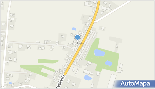 Firma Handlowo Usługowa, Fabianki 55, Fabianki 87-811 - Przedsiębiorstwo, Firma, NIP: 8883034331