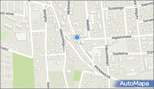 Firma Handlowo Usługowo Produkcyjna Castor, Myślenice 32-400 - Przedsiębiorstwo, Firma, NIP: 6811149756