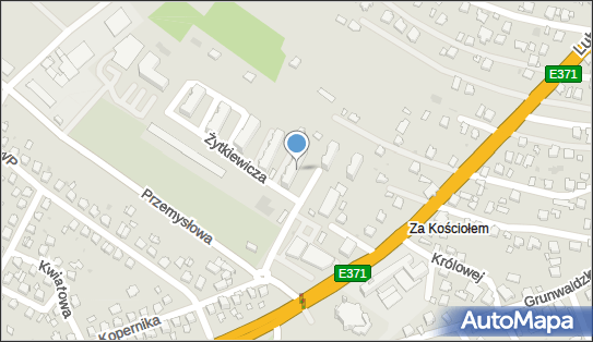 Firma Internet Serwices Corporation, ul. Doktora Tkaczowa 169C 36-040 - Przedsiębiorstwo, Firma, NIP: 8131967787