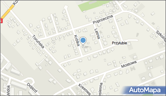 Firma Konserwatorska DR, ul. Krótka 9, Grębocin 87-122 - Przedsiębiorstwo, Firma, NIP: 8791107039