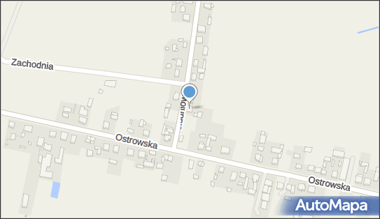 Firma Leo, Ostrowska 9c, Sieroszewice 63-405 - Przedsiębiorstwo, Firma, NIP: 6221064527