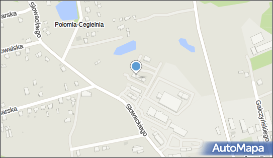 Firma Motoryzacyjna Magcars, ul. Słowackiego 94A, Myszków 42-300 - Przedsiębiorstwo, Firma, NIP: 5771038204