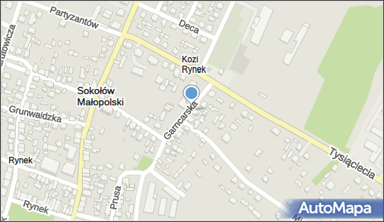 8141008835, Firma - Produkcyjno - Usługowo - Handlowa 