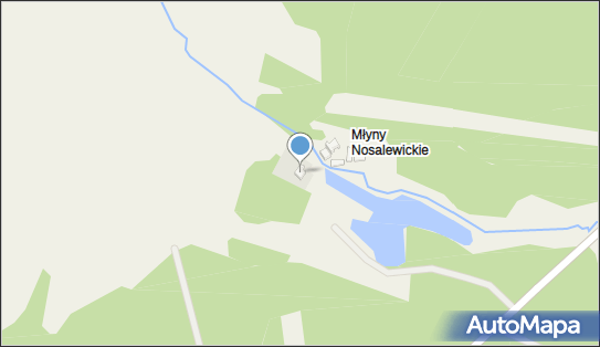 7721539566, Maciej Jędrzejczyk 