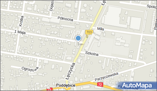 Firma Prywatna, ul. 1 Maja 2, Poddębice 99-200 - Przedsiębiorstwo, Firma, NIP: 8281007497