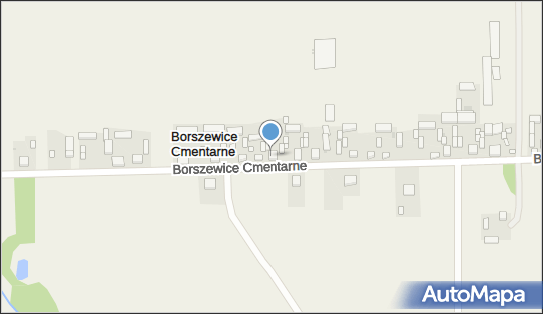 Firma Prywatna, Borszewice Cmentarne 23, Borszewice Cmentarne 98-100 - Przedsiębiorstwo, Firma, NIP: 8311250513