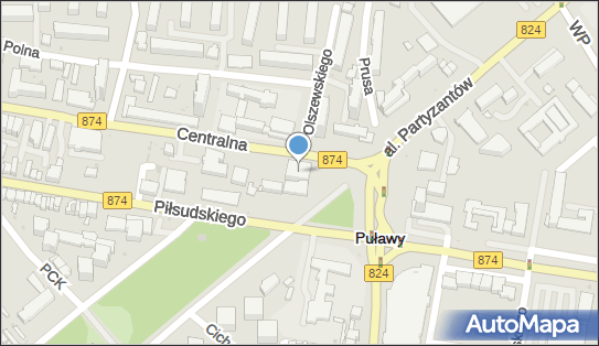 Firma Prywatna, ul. Centralna 1, Puławy 24-100 - Przedsiębiorstwo, Firma, NIP: 7161545180