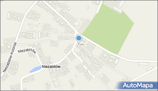 Firma Prywatna, Niezabitów 8, Niezabitów 24-320 - Przedsiębiorstwo, Firma, NIP: 7171418129