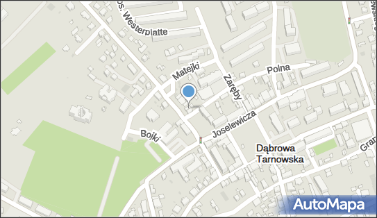 Firma Prywatna, Grunwaldzka 8, Dąbrowa Tarnowska 33-200 - Przedsiębiorstwo, Firma, NIP: 8711179575