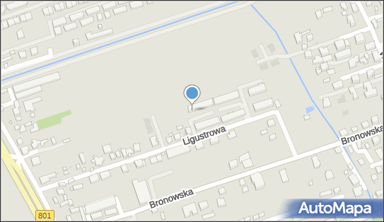 5251153117, Diana Markiewicz 