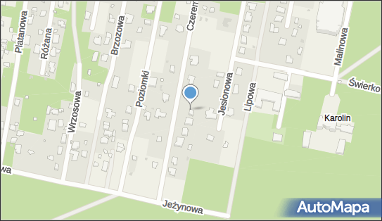 Firma Prywatna, Czeremchy 11, Otrębusy 05-805 - Przedsiębiorstwo, Firma, NIP: 5341614929