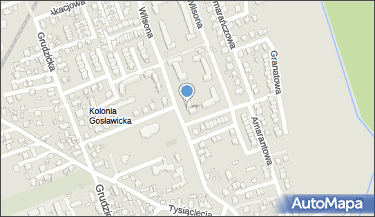 Firma Prywatna, ul. Thomasa Wilsona 28, Opole 45-429 - Przedsiębiorstwo, Firma, NIP: 7541515653