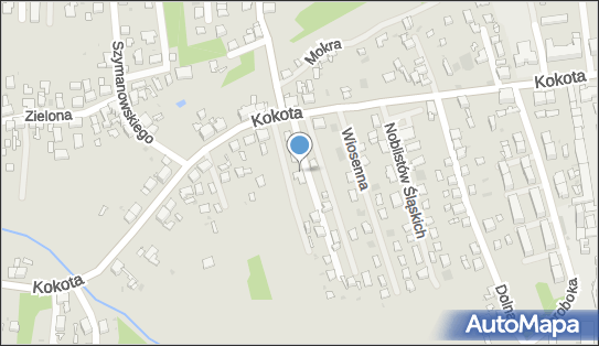 Firma Prywatna, ul. Edmunda Kokota 199E, Ruda Śląska 41-711 - Przedsiębiorstwo, Firma, NIP: 6411482239