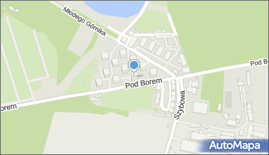 Firma Prywatna, ul. Pod Borem 25, Zabrze 41-808 - Przedsiębiorstwo, Firma, NIP: 6482705511