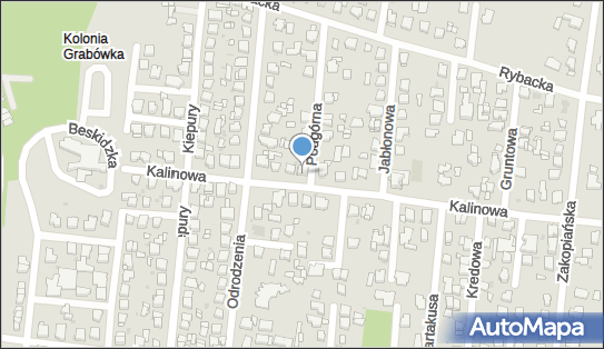 Firma Prywatna, ul. Kalinowa 26, Częstochowa 42-200 - Przedsiębiorstwo, Firma, NIP: 5732346255