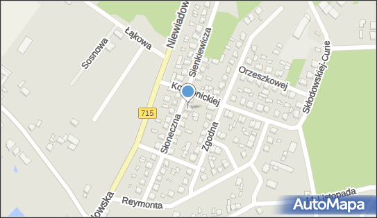 Firma Przewozowa, Słoneczna 22, Ujazd 97-225 - Przedsiębiorstwo, Firma, numer telefonu, NIP: 7731010838