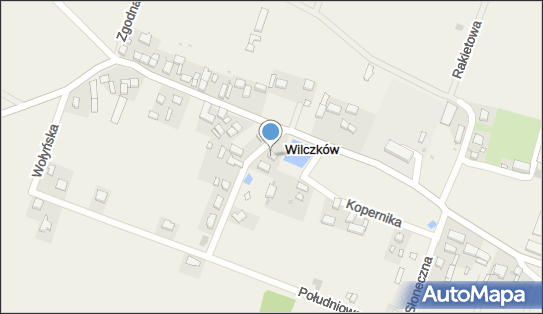 Firma Rak - Alicja Rak, ul. Mikołaja Kopernika 14, Wilczków 55-020 - Przedsiębiorstwo, Firma, NIP: 7841289876