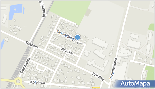 6220003788, Olski Andrzej Firma 