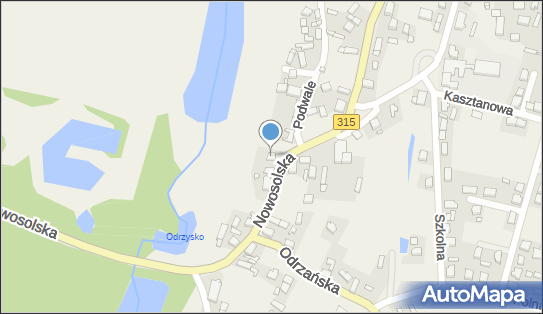 Firma Transportowa, Nowosolska 12, Przyborów 67-100 - Przedsiębiorstwo, Firma, numer telefonu, NIP: 9251127323