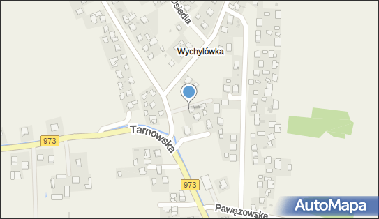 Firma Transportowo-Handlowa Tom-Trans Tomasz Kobos, ul. Witosa 4 33-131 - Przedsiębiorstwo, Firma, NIP: 9930444144