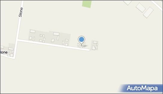 Firma Usługowa Wiewiórka- Dariusz Chotyński, Słone 2, Słone 87-880 - Przedsiębiorstwo, Firma, NIP: 8881545949