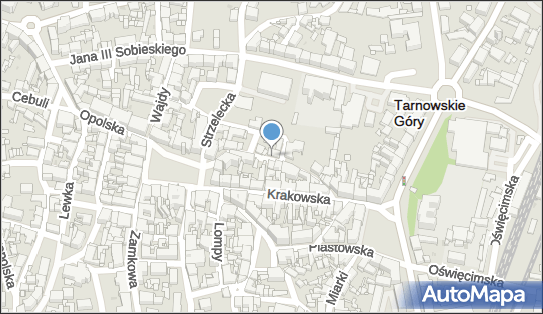 Firma Usługowo Handlowa Store, Tylna 8, Tarnowskie Góry 42-600 - Przedsiębiorstwo, Firma, NIP: 6262925647