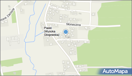 Firma Usługowo Handlowa, Wysoka Głogowska 44, Wysoka Głogowska 36-061 - Przedsiębiorstwo, Firma, NIP: 8131079549