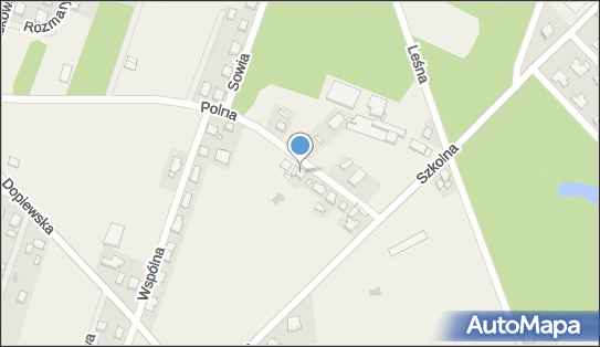 Firma Usługowo Handlowa, Polna 7, Gołuski 62-070 - Przedsiębiorstwo, Firma