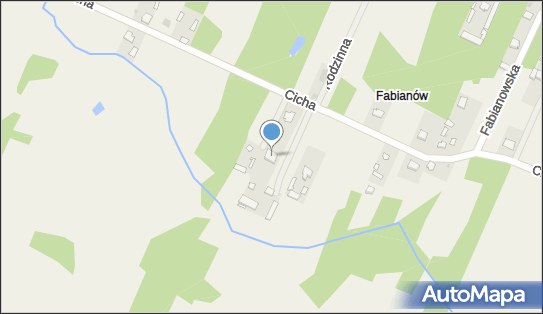 Firma Usługowo-Transportowa Damian Wasilewski, Cicha 122, Dębinki 07-230 - Przedsiębiorstwo, Firma, NIP: 7621928966