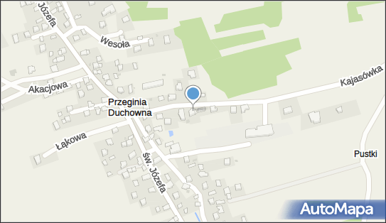 Firma Vagenpol, Przeginia Duchowna 88, Przeginia Duchowna 32-061 - Przedsiębiorstwo, Firma, NIP: 9441194357