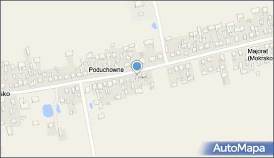 Fizjo - Med Beata Motak, Mokrsko 197, Mokrsko 98-345 - Przedsiębiorstwo, Firma, NIP: 8321986150