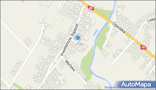 Fizjo Puls MK, Powstańców Śląskich 19a, Stradunia 47-341 - Przedsiębiorstwo, Firma, NIP: 1990092957