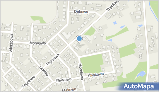 FIZJO Szymon Paszek - fizjoterapeuta Konin, Topolowa 25 62-571 - Przedsiębiorstwo, Firma, numer telefonu