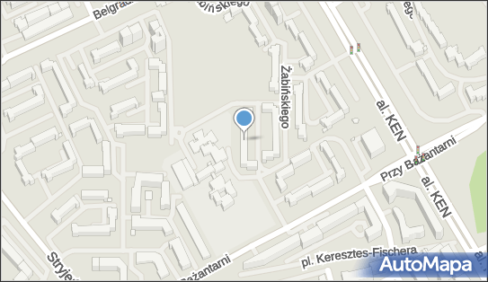 Fizjoterapia, ul. Jana Żabińskiego 3, Warszawa 02-793 - Przedsiębiorstwo, Firma, NIP: 9512158631