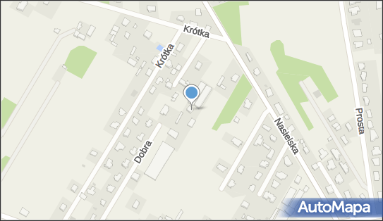 5361561219, Flora - Elżbieta Zwierzchowska 