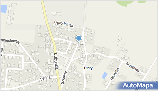 For Transpol, Szkolna 12, Płoty 66-016 - Przedsiębiorstwo, Firma, numer telefonu, NIP: 9730969184