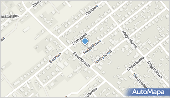 Formet, Nagietkowa 41, Poznań 60-175 - Przedsiębiorstwo, Firma, numer telefonu, NIP: 7792347621
