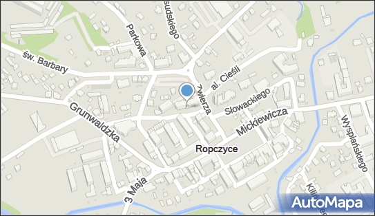 Foto-Color Marek Golonka, ul. Króla Kazimierza Wielkiego 2 39-100 - Przedsiębiorstwo, Firma, NIP: 8181010413