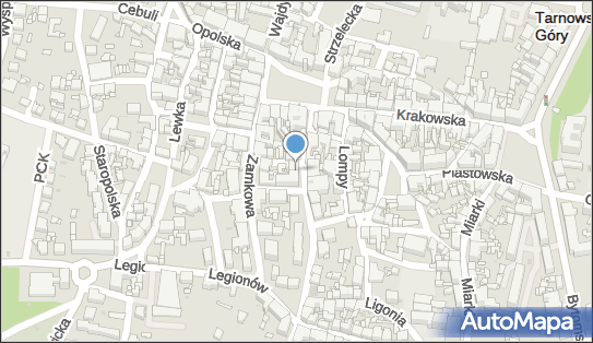 Foto Studio Adamek Małgorzata Paszkowska Wanda Paszkowska 42-600 - Przedsiębiorstwo, Firma, numer telefonu, NIP: 6450012816