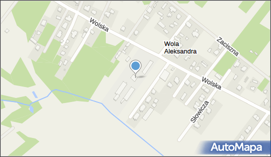 Fric Paweł Mariański, Wolska 104, Wola Aleksandra 05-119 - Przedsiębiorstwo, Firma, NIP: 5361694593