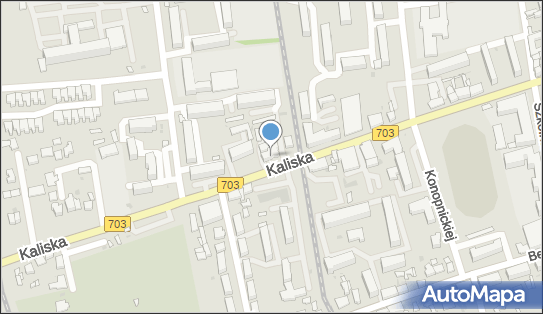 Frutina Miarka Sebastian, Kaliska 40, Łęczyca 99-100 - Przedsiębiorstwo, Firma, NIP: 7751813345