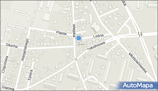Fryz Lok, ul. Wiejska 41, Radom 26-600 - Przedsiębiorstwo, Firma, NIP: 9482082589