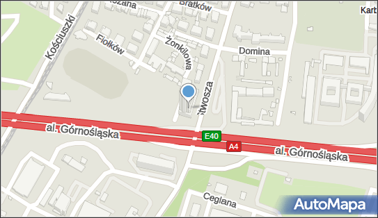 Fundacja im Ireny Babińskiej, ul. Wita Stwosza 31, Katowice 40-042 - Przedsiębiorstwo, Firma, numer telefonu, NIP: 9542620933