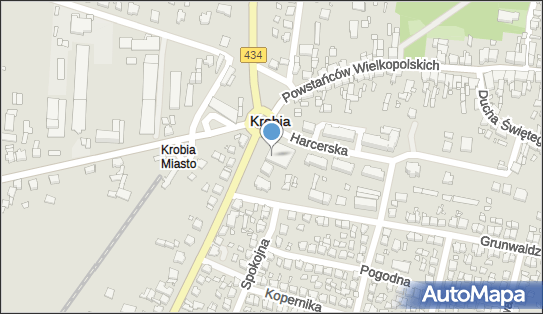 Fundacja Sąsiedzi Sąsiadom, Powstańców Wielkopolskich 27 63-840 - Przedsiębiorstwo, Firma, numer telefonu, NIP: 6961346843