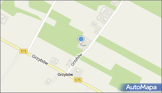 Fundacja Wieś Ekologiczna im św Franciszka z Asyżu, Grzybów 44 09-533 - Przedsiębiorstwo, Firma, numer telefonu, NIP: 7742587576