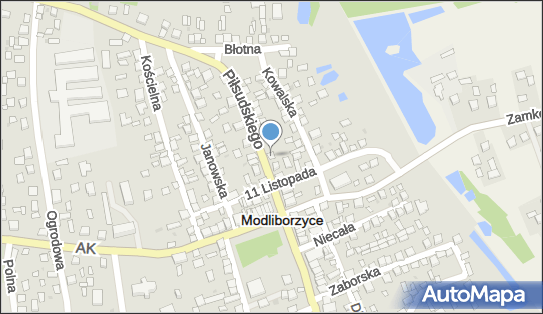 Fundacja z Głębi Serca, Piłsudskiego Józefa, marsz. 17 23-310 - Przedsiębiorstwo, Firma