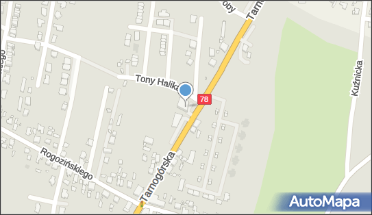 Future A, ul. Tarnogórska 241, Gliwice 44-105 - Przedsiębiorstwo, Firma, NIP: 9691595123