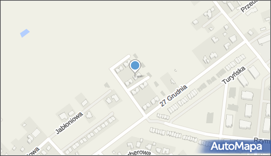 Gabinet Fizjoterapii, ul. 27 Grudnia 49J, Tarnowo Podgórne 62-080 - Przedsiębiorstwo, Firma, NIP: 9531358851