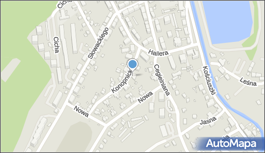 Gabinet Internistyczno Reumatologiczny, ul. Marii Konopnickiej 3 58-400 - Przedsiębiorstwo, Firma, numer telefonu, NIP: 6141111064