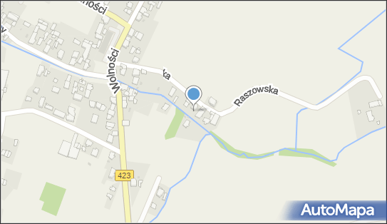 Gabinet Kosmetyczny Dermina D M, Raszowska 8, Januszkowice 47-330 - Przedsiębiorstwo, Firma, NIP: 1990001593